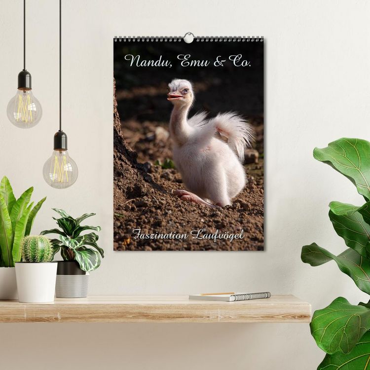 Produktbild: Nandu, Emu & Co. (Wandkalender 2026 DIN A3 hoch), CALVENDO Monatskalender