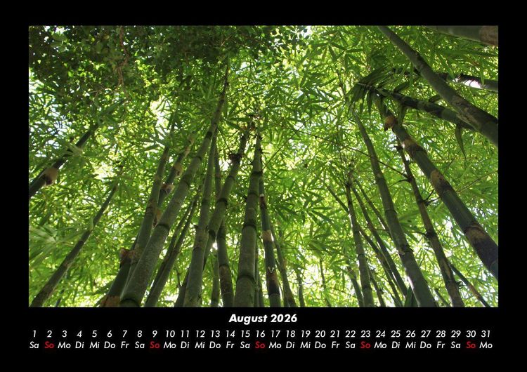 Produktbild: Waldzauber 2026 Fotokalender DIN A3