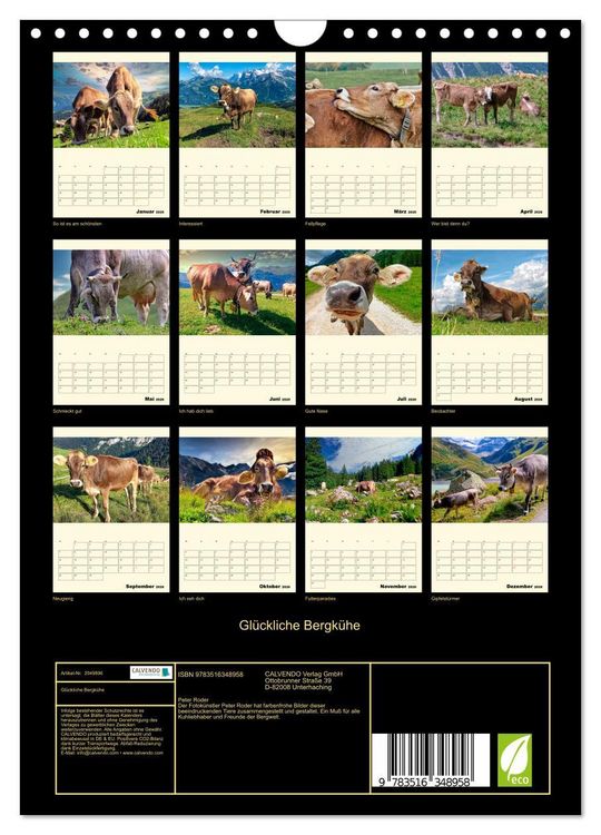 Produktbild: Gl&uuml;ckliche Bergk&uuml;he (Wandkalender 2026 DIN A4 hoch), CALVENDO Monatskalender