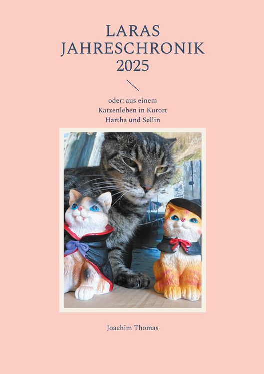 Produktbild: Laras Jahreschronik 2025