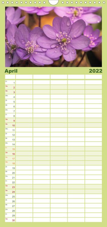 Produktbild: Familienplaner Weltnaturerbe Hainich (Wandkalender 2022 , 21 cm x 45 cm, hoch)