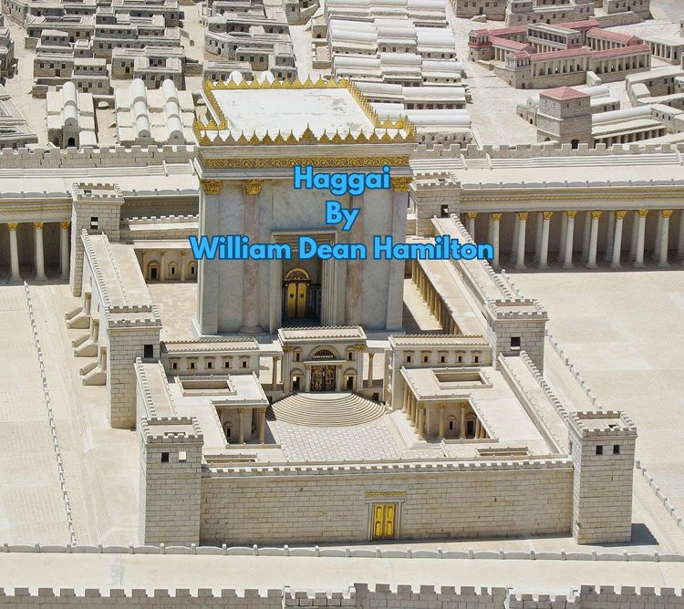 Produktbild: Haggai (Biblical Interpretation, #10)