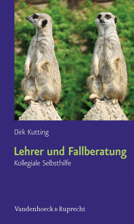 Produktbild: Lehrer und Fallberatung
