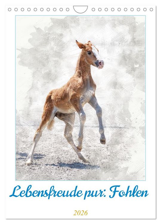 Produktbild: Lebensfreude pur: Fohlen (Wandkalender 2026 DIN A4 hoch), CALVENDO Monatskalender