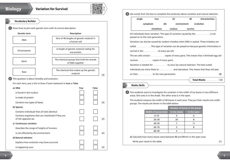 Produktbild: KS3 SCIENCE YR 9 WB_KS3 REV