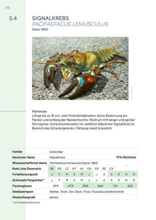 Produktbild: Neunaugen, Fische, Flusskrebse und Großmuscheln in Salzburg