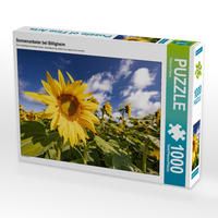 Produktbild: CALVENDO Puzzle Sonnenanbeter bei Billigheim | 1000 Teile Lege-Gr&ouml;&szlig;e 64x48cm Foto-Puzzle f&uuml;r gl&uuml;ckliche Stunden
