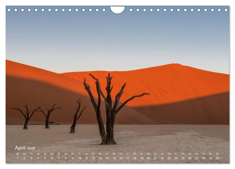 Produktbild: Astrein! - Der Baumkalender 2026 (Wandkalender 2026 DIN A4 quer), CALVENDO Monatskalender