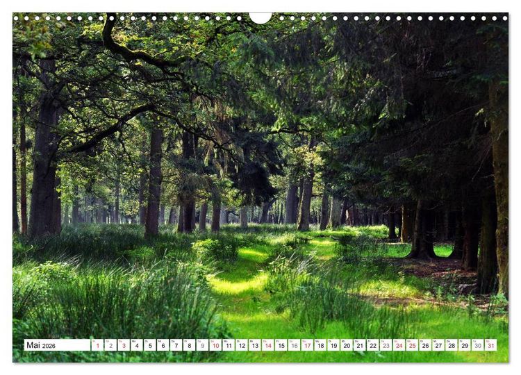 Produktbild: Wege gehen... (Wandkalender 2026 DIN A3 quer), CALVENDO Monatskalender
