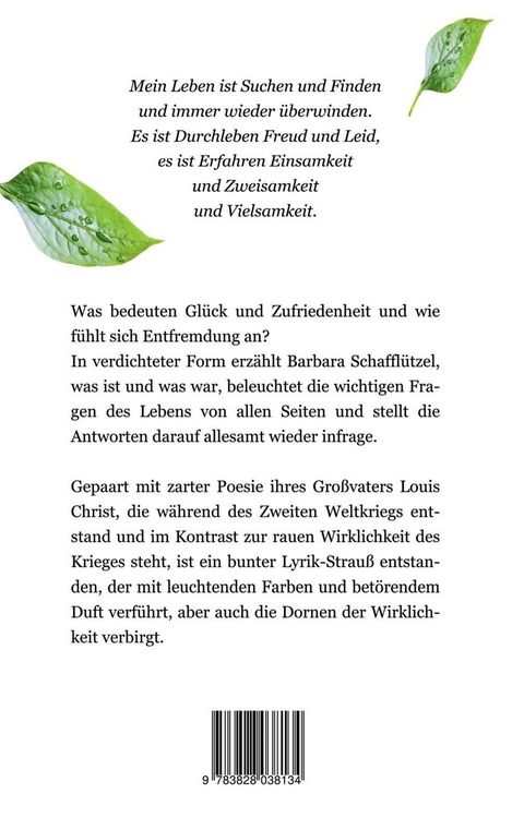 Produktbild: Spiegelungen