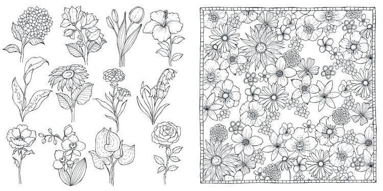 Produktbild: Bl&uuml;tentraum &ndash; Florale Motive ausmalen