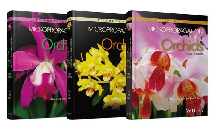 Produktbild: Micropropagation of Orchids
