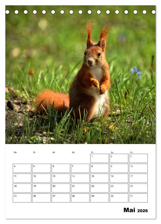 Produktbild: Heimische Wildtiere Terminplaner (Tischkalender 2026 DIN A5 hoch), CALVENDO Monatskalender