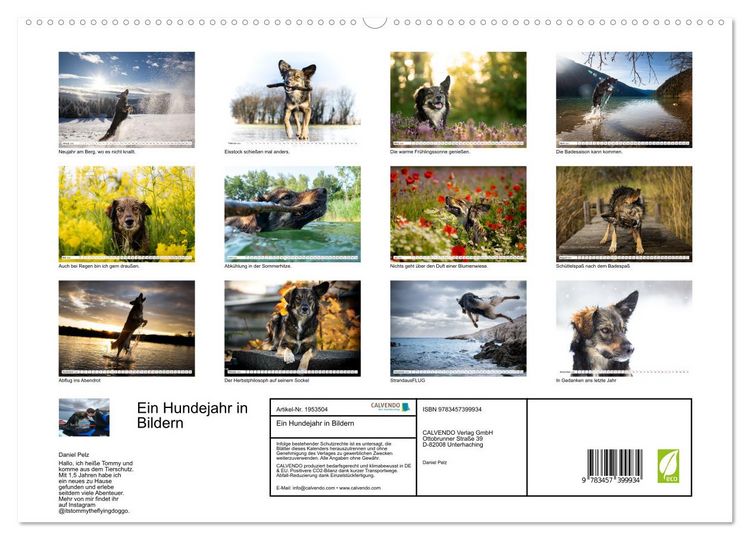 Produktbild: Ein Hundejahr in Bildern (hochwertiger Premium Wandkalender 2026 DIN A2 quer), Kunstdruck in Hochglanz