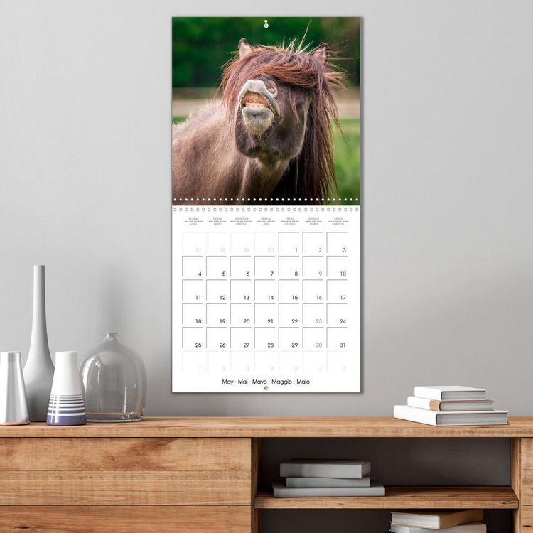 Produktbild: Charming Icelandic Horses (Wall Calendar 2026 12 &times; 12 Inch) CALVENDO 12 Month Wall Calendar