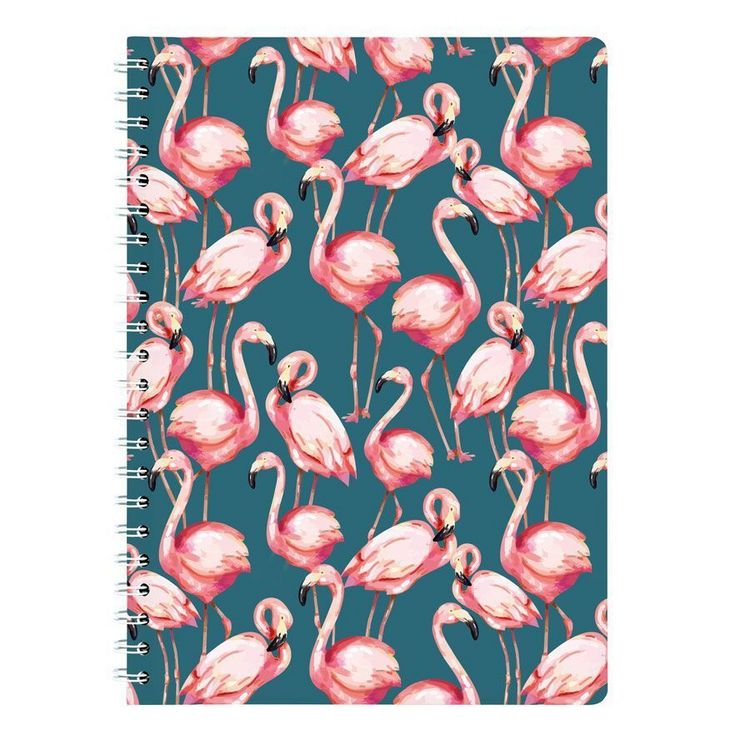 Produktbild: Ringbuch A4 Pink Flamingo