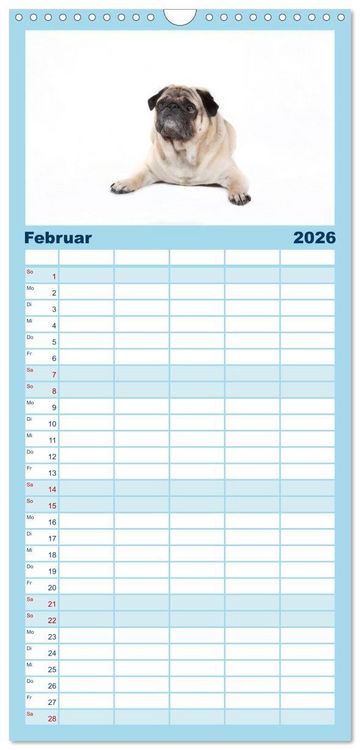Produktbild: Familienplaner 2026 - Mops - unwiderstehlich und charmant mit 5 Spalten (Wandkalender, 21 x 45 cm) CALVENDO