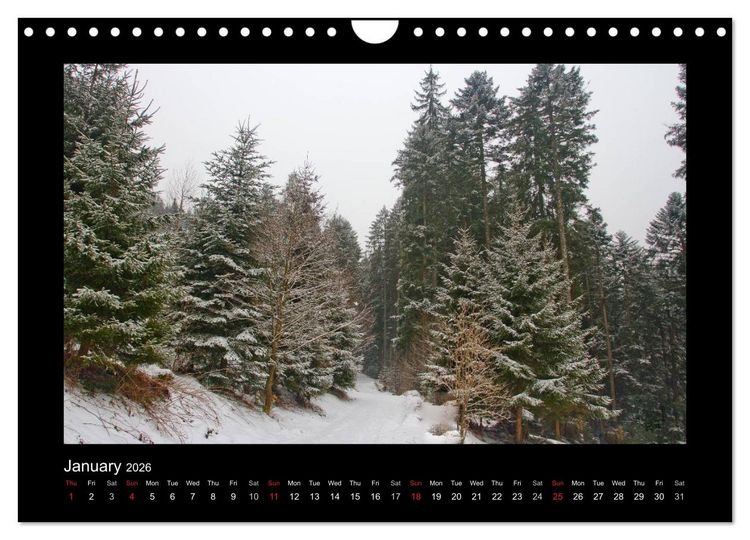 Produktbild: The Black Forest - UK Version (Wall Calendar 2026 DIN A4 landscape), CALVENDO 12 Month Wall Calendar