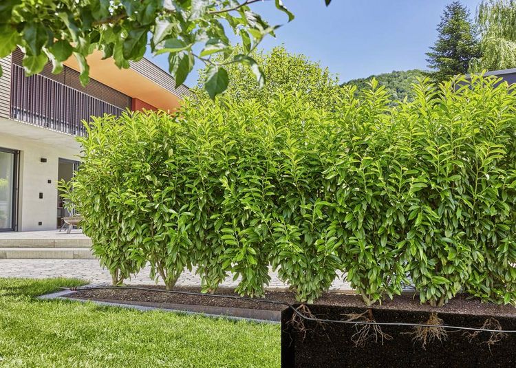 Produktbild: GARDENA Micro-Drip System 13500-20 Bew&auml;sserungs-Komplettset 13 mm (1/2") &Oslash; Hecken/B&uuml;sche Set (25 m)
