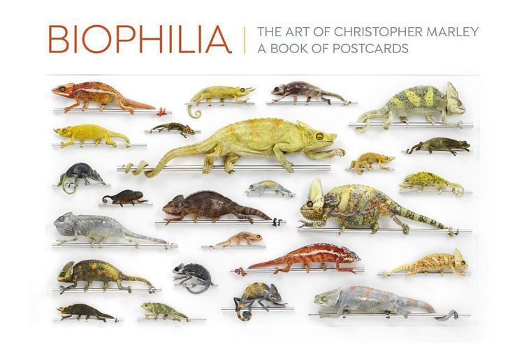 Produktbild: Biophilia the Art of Christopher Marley