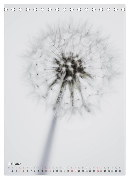 Produktbild: Pure Flowers (Tischkalender 2026 DIN A5 hoch), CALVENDO Monatskalender
