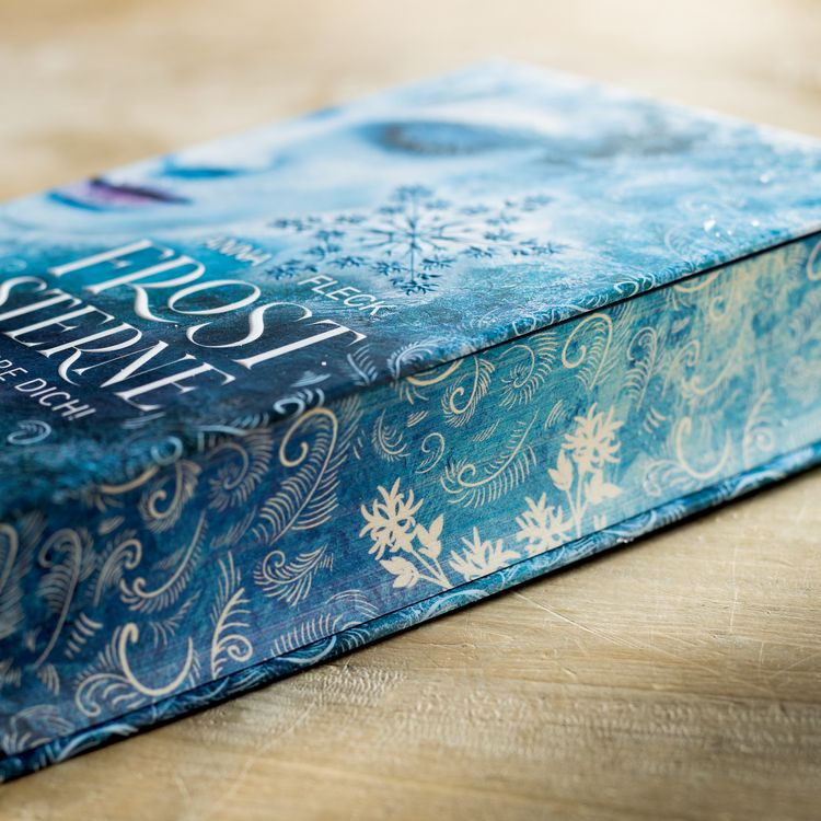 Produktbild: Froststerne (Romantasy-Trilogie, Bd. 1)