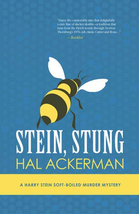 Produktbild: Stein Stung