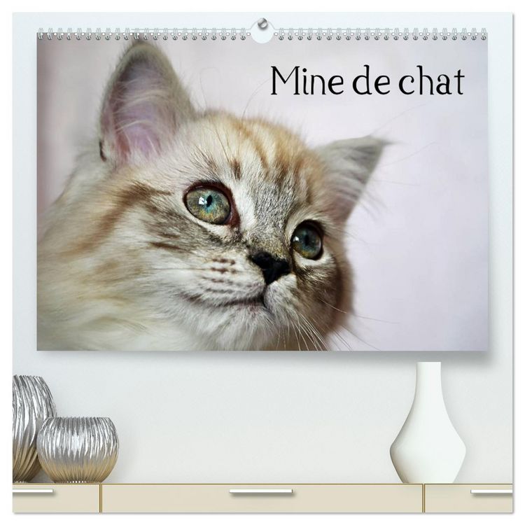Produktbild: Mine de chat (Calendrier mural 2026 DIN A2 vertical) calendrier de bureau