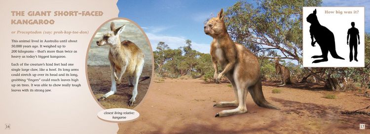 Produktbild: Animal Ancestors