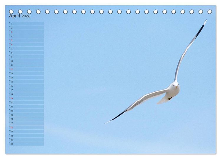 Produktbild: Rund um K&uuml;hlungsborn (Tischkalender 2026 DIN A5 quer), CALVENDO Monatskalender