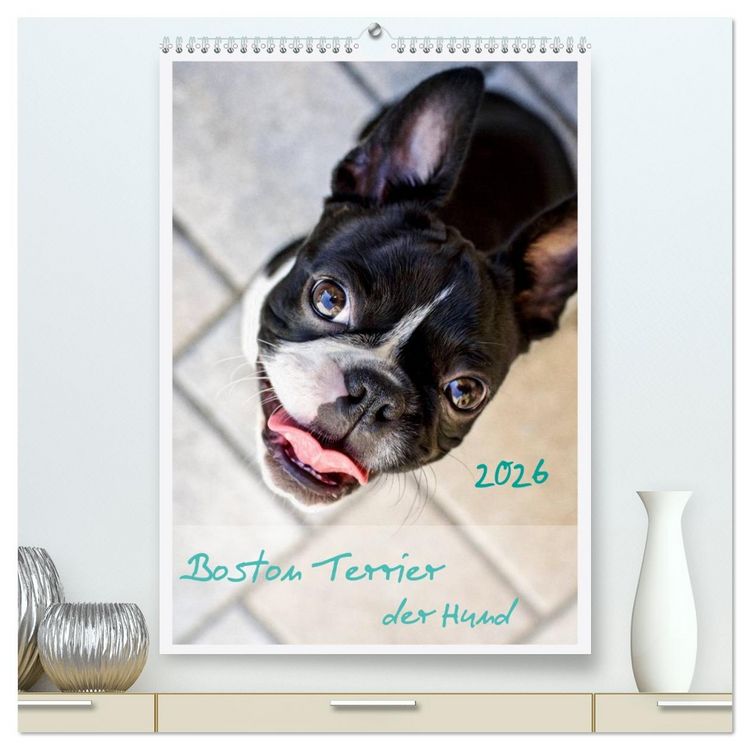 Produktbild: Boston Terrier der Hund 2026 (hochwertiger Premium Wandkalender 2026 DIN A2 hoch), Kunstdruck in Hochglanz