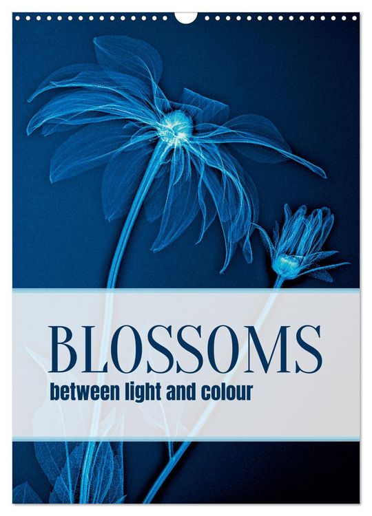 Produktbild: Blossoms between light and colour (Wall Calendar 2027 DIN A3 portrait), CALVENDO 12 Month Wall Calendar