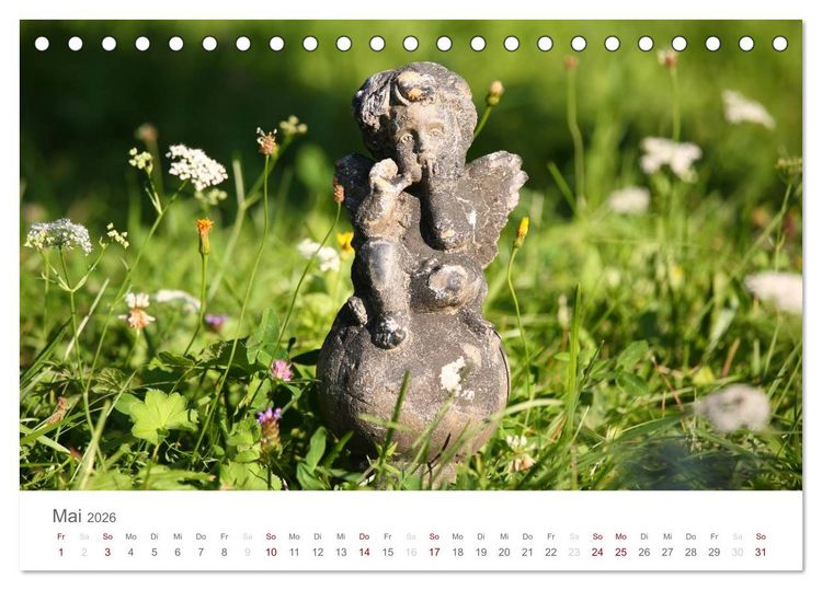 Produktbild: Engel in Haus und Garten (Tischkalender 2026 DIN A5 quer), CALVENDO Monatskalender
