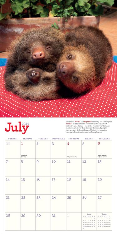 Produktbild: Cooke, L: Original Sloths Mini Wall Calendar 2024