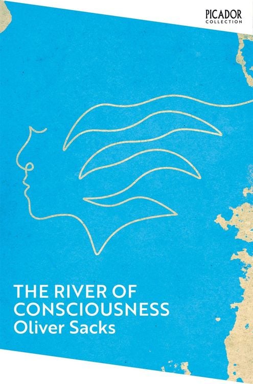 Produktbild: The River of Consciousness
