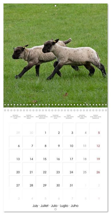 Produktbild: Stratford upon Avon - Shakespeare's Hometown (Wall Calendar 2026 12 &times; 12 Inch) CALVENDO 12 Month Wall Calendar