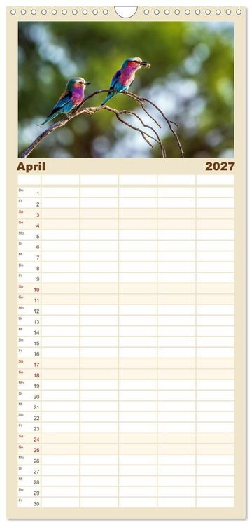 Produktbild: Familienplaner 2027 - Namibias faszinierende Tierwelt mit 5 Spalten (Wandkalender, 21 x 45 cm) CALVENDO