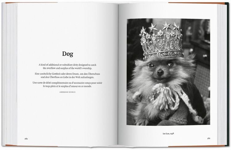 Produktbild: The Dog in Photography 1839&ndash;Today