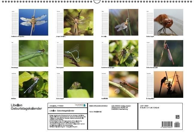 Produktbild: Libellen Geburtstagskalender (Wandkalender immerw&auml;hrend DIN A2 quer)