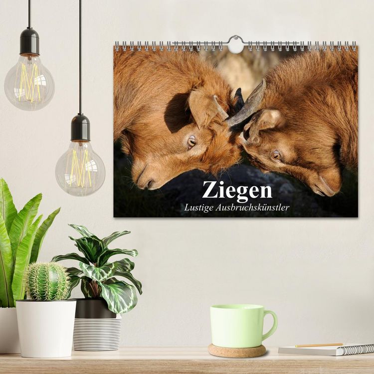 Produktbild: Ziegen. Lustige Ausbruchsk&uuml;nstler (Wandkalender 2026 DIN A4 quer), CALVENDO Monatskalender