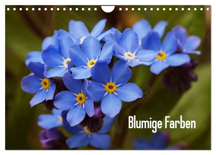 Produktbild: Blumige Farben (Wandkalender 2027 DIN A4 quer), CALVENDO Monatskalender
