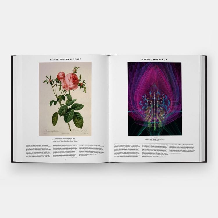 Produktbild: Plant