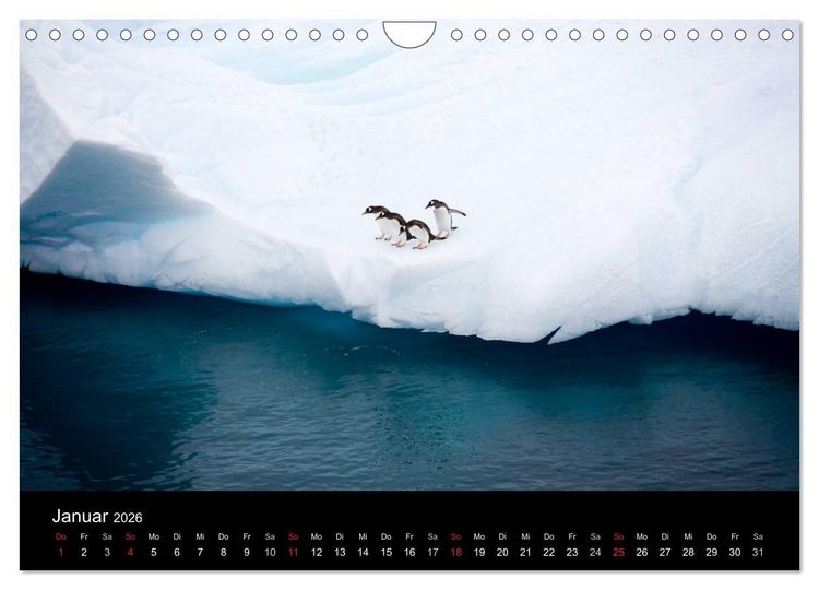 Produktbild: Antarktis 68&deg; S&uuml;d (Wandkalender 2026 DIN A4 quer), CALVENDO Monatskalender
