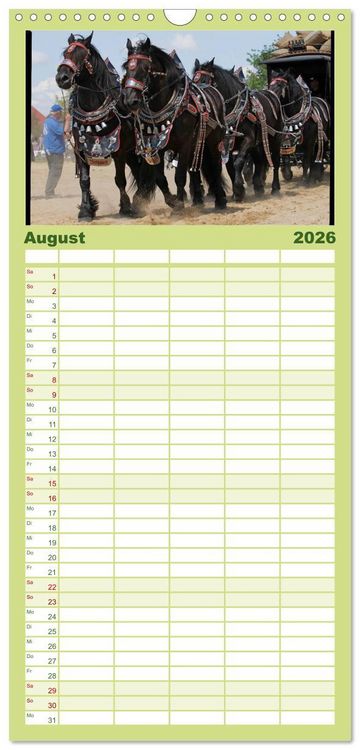 Produktbild: Familienplaner 2026 - Schwere Pferde mit 5 Spalten (Wandkalender, 21 x 45 cm) CALVENDO