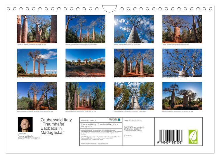 Produktbild: Zauberwald Ifaty &middot; Traumhafte Baobabs in Madagaskar (Wandkalender 2026 DIN A4 quer), CALVENDO Monatskalender