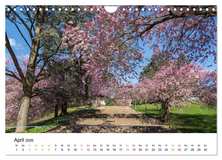 Produktbild: Kassel - wundersch&ouml;ne Stadt in Nordhessen (Wandkalender 2026 DIN A4 quer), CALVENDO Monatskalender