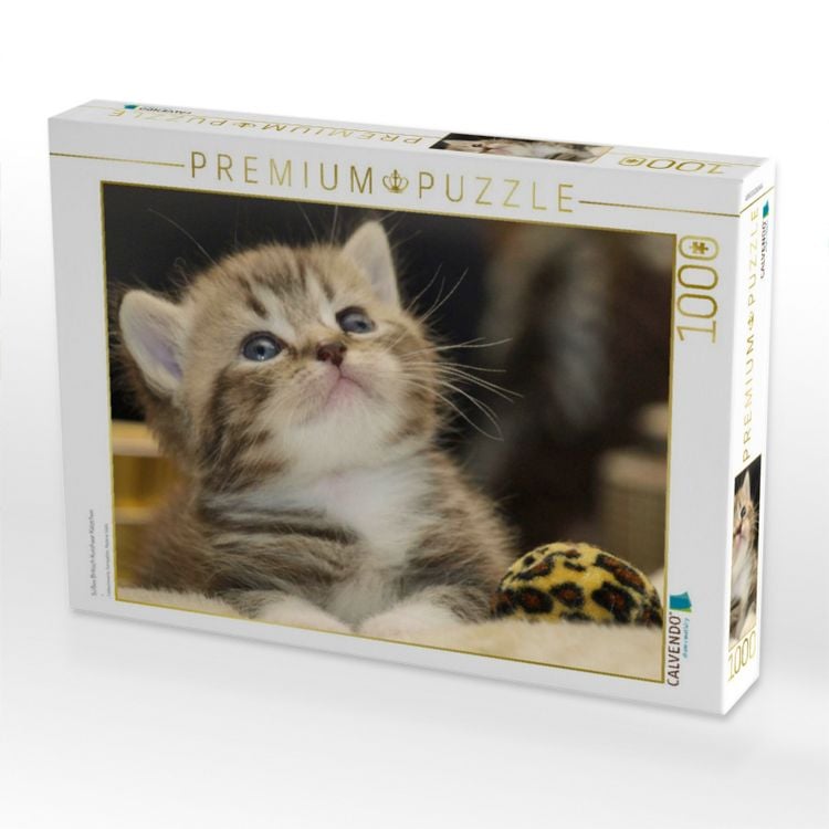Produktbild: CALVENDO Puzzle S&uuml;&szlig;es Britisch Kurzhaar K&auml;tzchen | 1000 Teile Lege-Gr&ouml;&szlig;e 64x48cm Foto-Puzzle f&uuml;r gl&uuml;ckliche Stunden