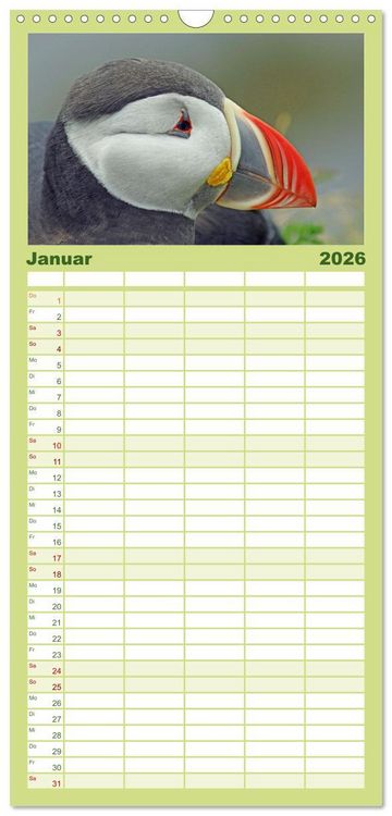 Produktbild: Familienplaner 2026 - Papageitaucher - Clowns der nordischen Vogelwelt mit 5 Spalten (Wandkalender, 21 x 45 cm) CALVENDO