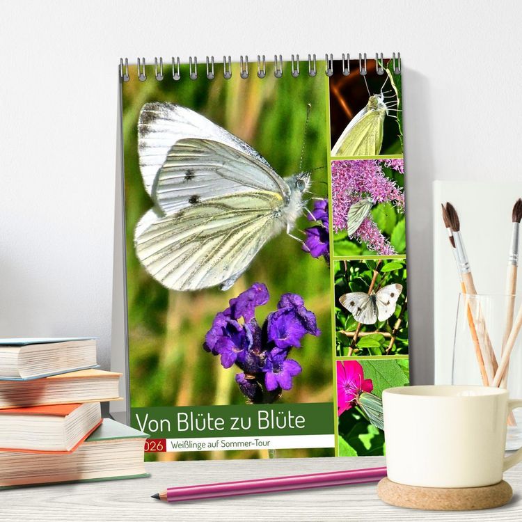 Produktbild: Von Bl&uuml;te zu Bl&uuml;te - Wei&szlig;linge auf Sommer-Tour (Tischkalender 2026 DIN A5 hoch), CALVENDO Monatskalender