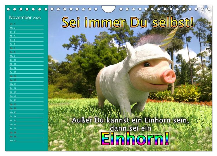 Produktbild: Tierische Toons (Wandkalender 2026 DIN A4 quer), CALVENDO Monatskalender